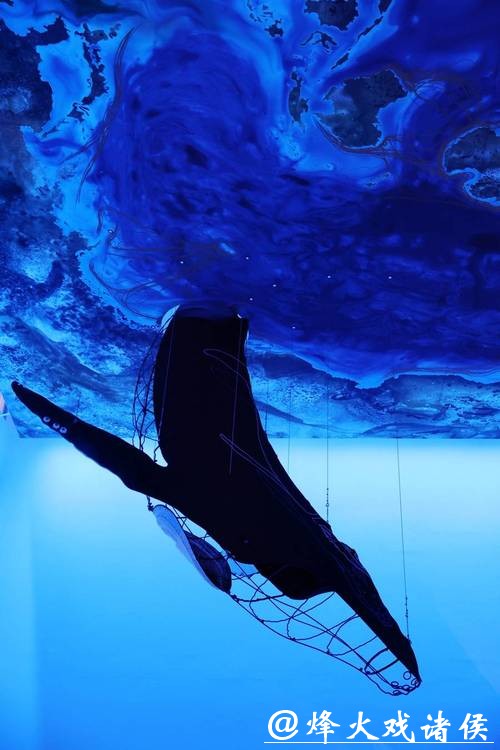 【会展区】两只巨型鲸鱼装置亮相浦美,以艺术回应海洋生物遭遇的威胁 【会展区】两只巨型鲸鱼装置亮相浦美,以艺术回应海洋生物遭遇的威胁